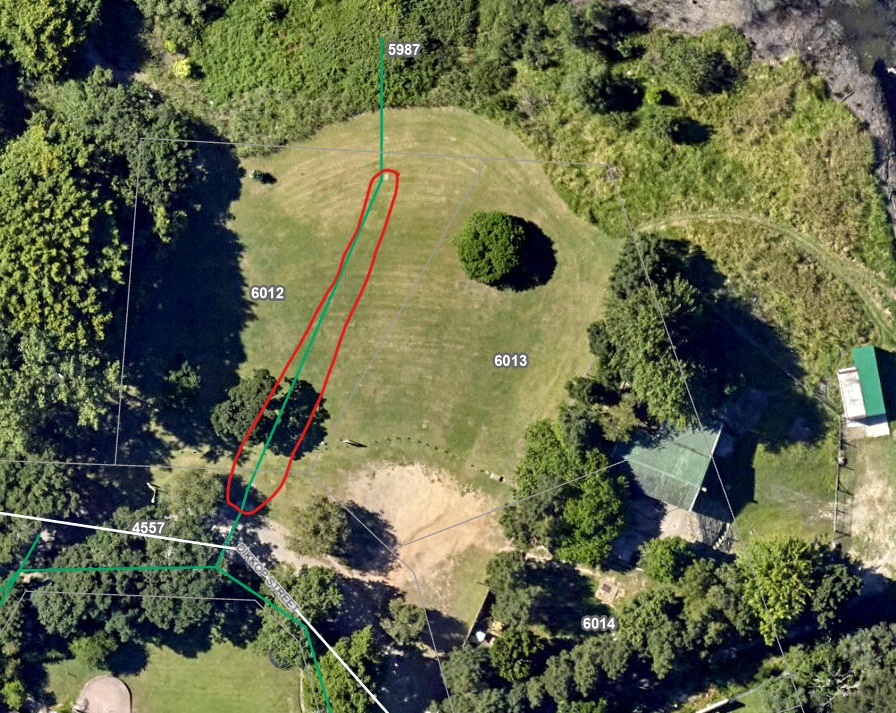 GARDAG recommends relocating the line to accommodate the trees in the area