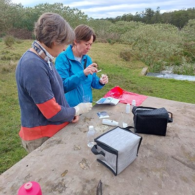 GARDAG participates in National Citizen Science Project. Location:  Gwaing wastewater treatment plant outfall