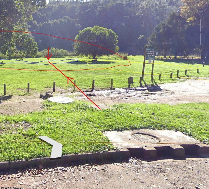 By making a small adjustment to the proposed plan, these beautiful trees can be saved
